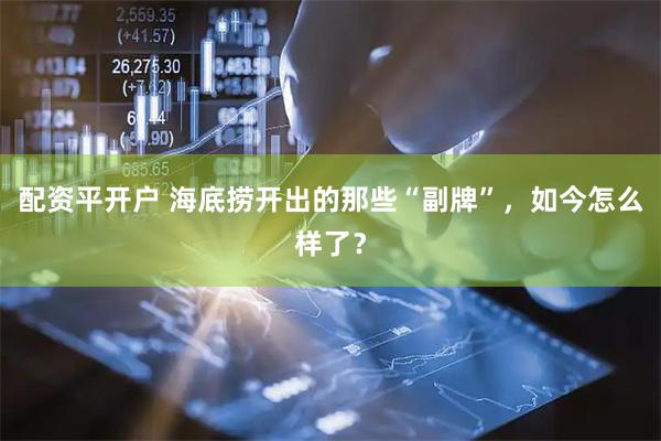 配资平开户 海底捞开出的那些“副牌”，如今怎么样了？
