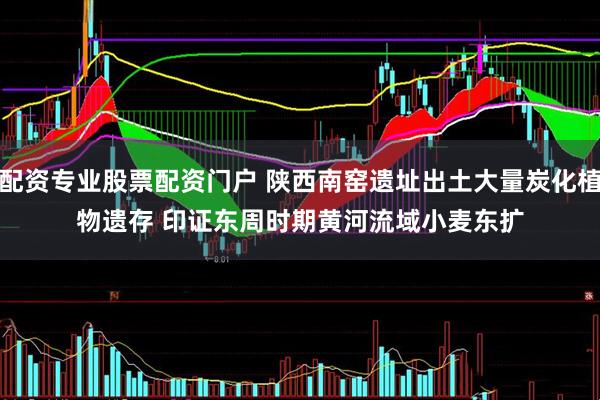 配资专业股票配资门户 陕西南窑遗址出土大量炭化植物遗存 印证东周时期黄河流域小麦东扩